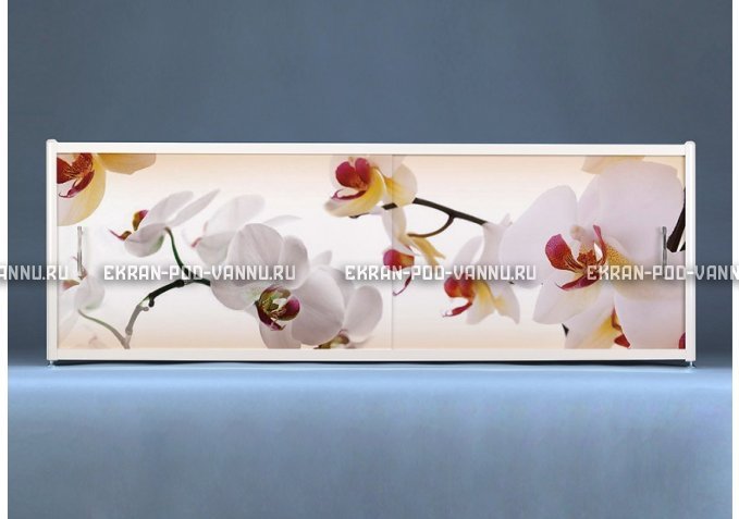Раздвижной ФОТО экран - Orchid – купить по цене 8500 руб. в интернет-магазине в городе Набережные Челны картинка 1