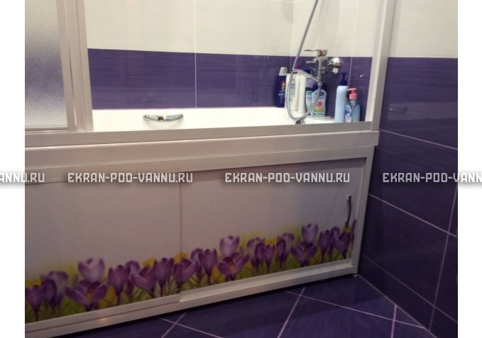 Экран на роликах EUROPLEX  Ирисы – купить по цене 12400 руб. в интернет-магазине в городе Набережные Челны картинка 3
