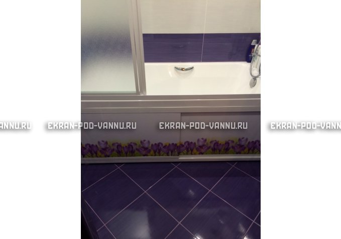 Экран на роликах EUROPLEX  Ирисы – купить по цене 12400 руб. в интернет-магазине в городе Набережные Челны картинка 4
