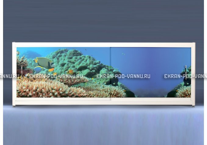 Экран на роликах EUROPLEX Коралловые рифы – купить по цене 12400 руб. в интернет-магазине в городе Набережные Челны картинка 1